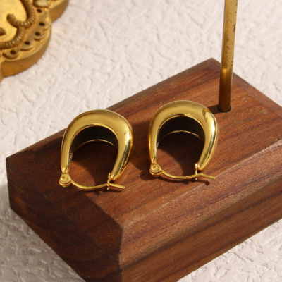 EVIE Elegance Earrings